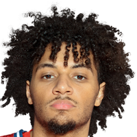 的双职能 的双职能